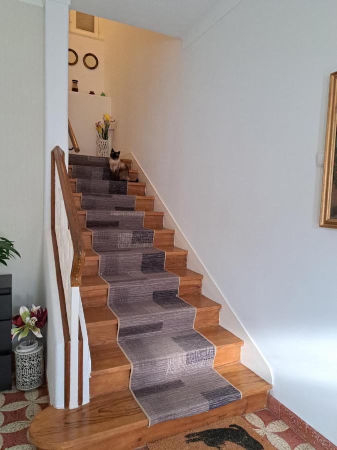 Beja Garden Apartamento Com Terraco Privado Экстерьер фото